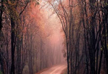 记者：切尔西仍打算留下桑乔，内部人士称球员态度很好.