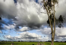 PG电子官网:网球——墨西哥公开赛:兹韦列夫无缘八.