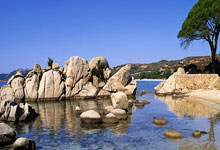 PG电子官网:BR:现在法国国家队的锋线厚度,强得简直离谱.